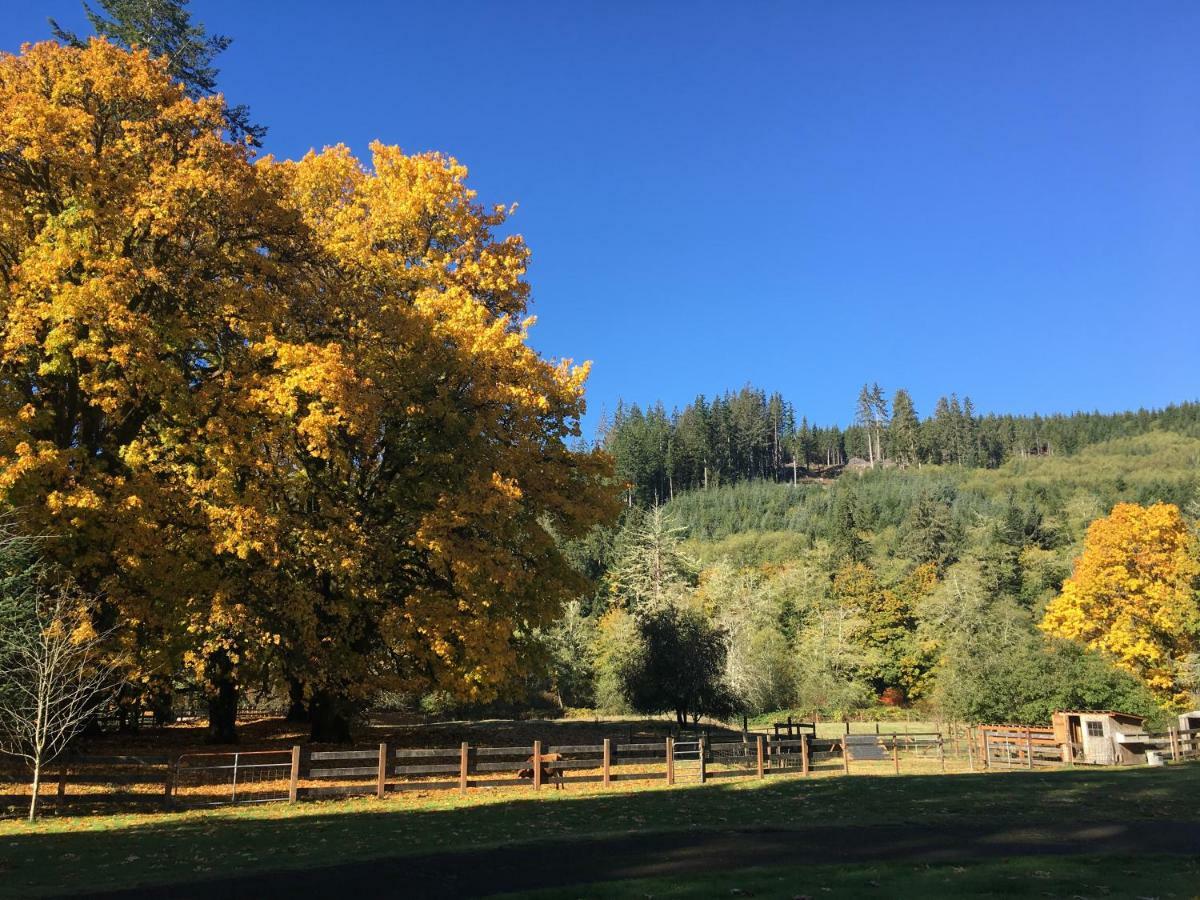 The Cabins At Beaver Creek Bagian luar foto